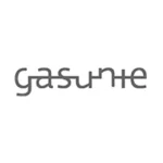 The word "gasunie" is displayed in a continuous, flowing, grey lowercase font against a plain white background.