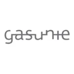 Het bedrijfslogo van "gasunie" staat in grijze, gestileerde letters afgebeeld op een witte achtergrond, wat het merk representeert bij oplossingen voor asset management.